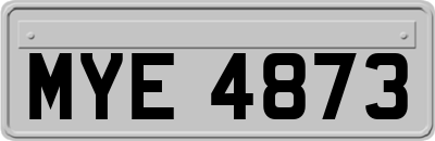MYE4873