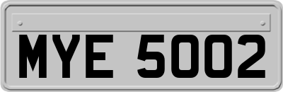 MYE5002