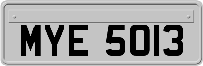 MYE5013