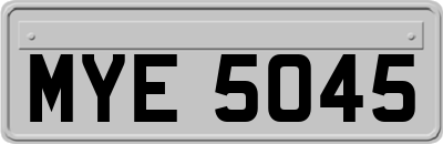 MYE5045