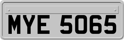 MYE5065