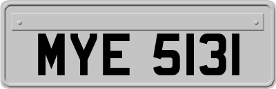 MYE5131