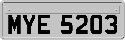 MYE5203
