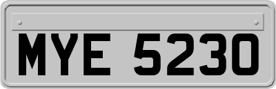 MYE5230
