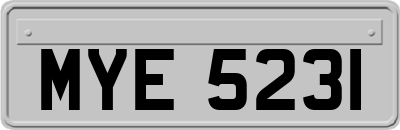 MYE5231