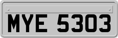 MYE5303