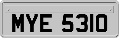 MYE5310