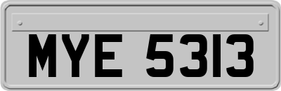MYE5313