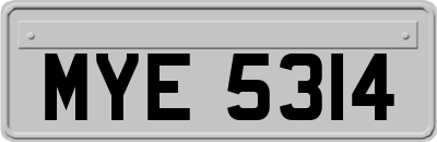 MYE5314
