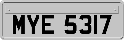 MYE5317