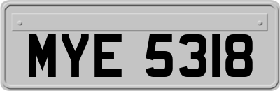 MYE5318