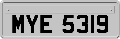 MYE5319