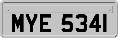 MYE5341
