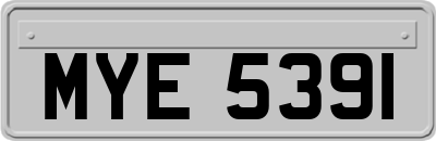 MYE5391