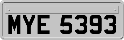 MYE5393