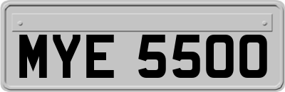 MYE5500