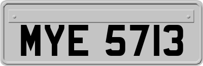 MYE5713