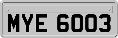 MYE6003