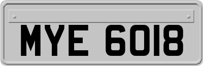 MYE6018