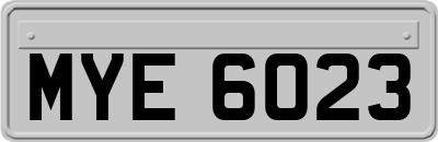 MYE6023