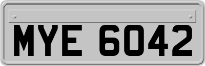 MYE6042