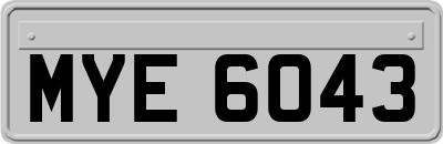 MYE6043