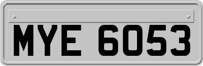 MYE6053