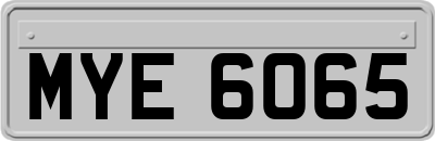 MYE6065