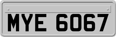 MYE6067