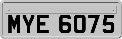 MYE6075