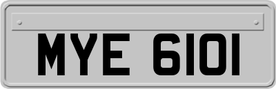 MYE6101