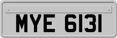 MYE6131