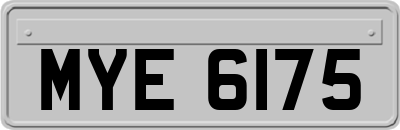 MYE6175