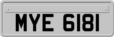 MYE6181