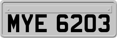 MYE6203