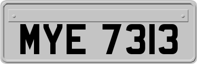 MYE7313