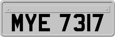MYE7317