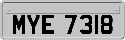 MYE7318