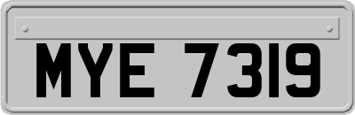 MYE7319