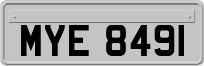 MYE8491