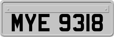 MYE9318