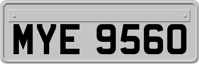 MYE9560