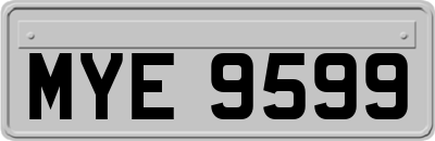 MYE9599