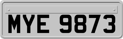 MYE9873