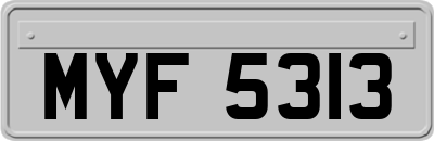 MYF5313