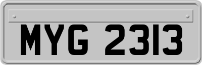 MYG2313