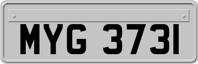 MYG3731