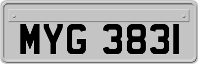 MYG3831