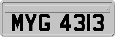 MYG4313