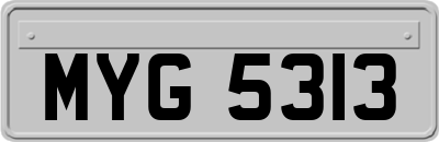 MYG5313